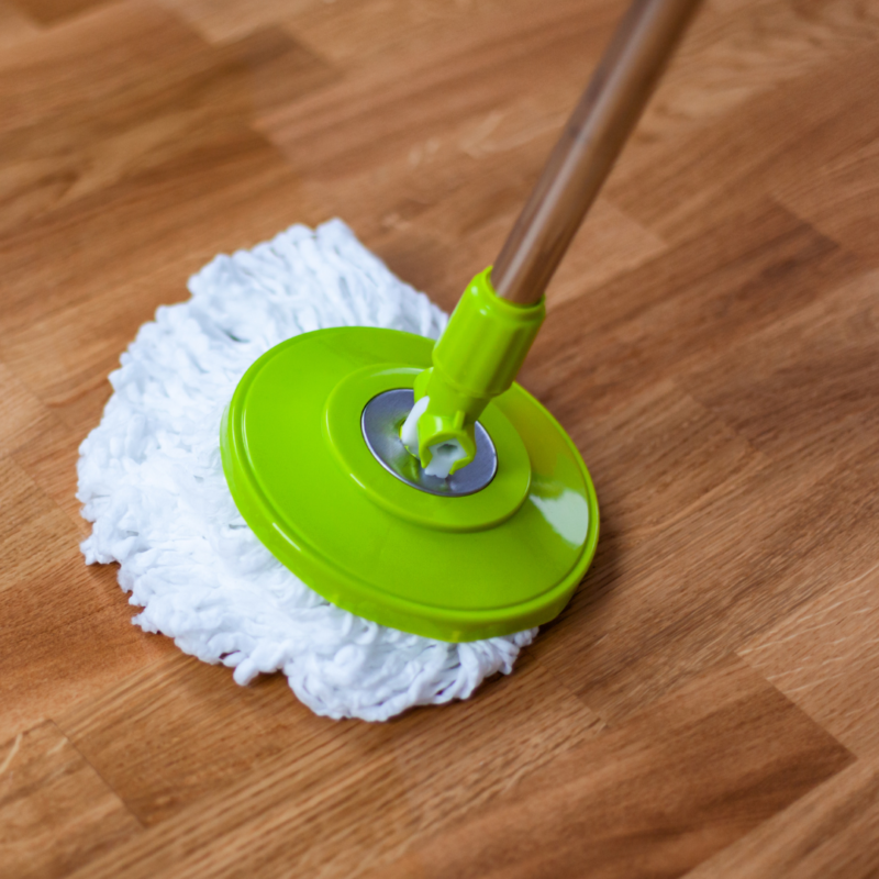 Cleaning Mop for Home