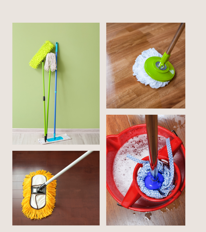 Mops